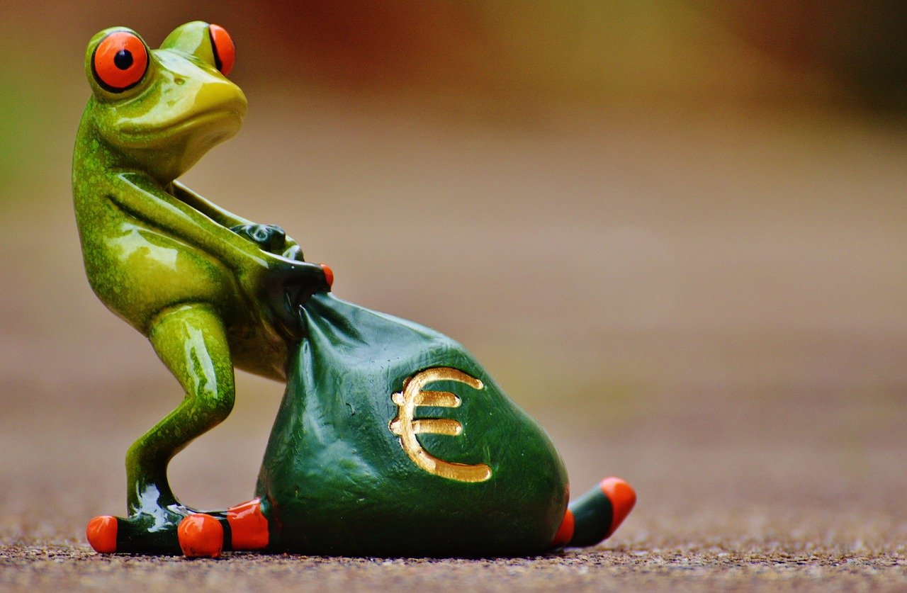 frog 1234781 1280